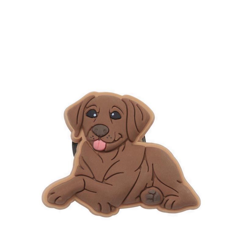 Crocs Brown Lab Puppy Jibbitz