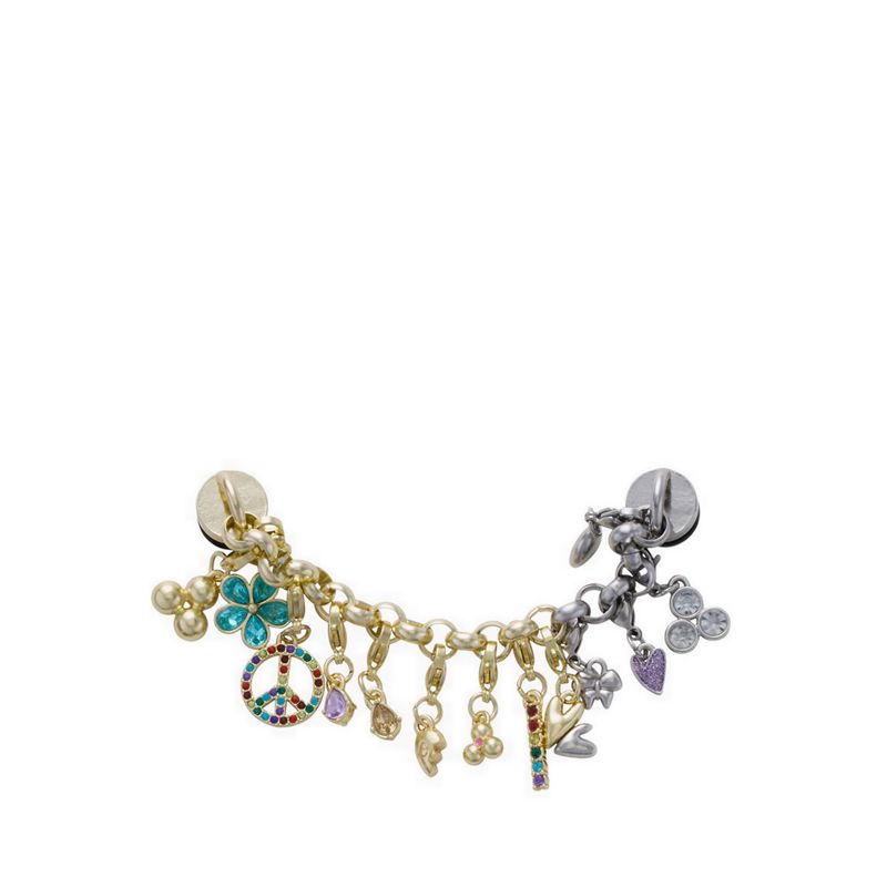 Crocs Gold Silver Adjust Charm Chain Jibbitz