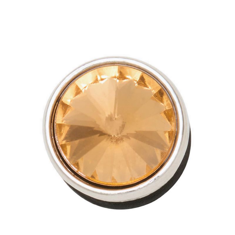 Crocs Silver Bronze Stud Jibbitz